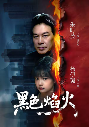 黑色焰火（41集）短剧超清全集在线看