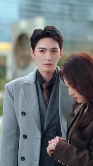 当离婚律师想离婚(83集) 当离婚律师想离婚(83集)短剧结局合集限免刷