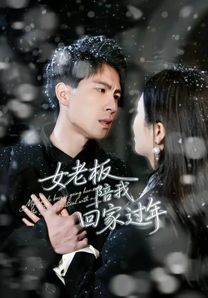 女老板陪我回家过年(40集) 女老板陪我回家过年(40集)短剧完整版全集放送