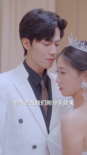 夏风吻玫瑰（80集）短剧全集特惠限时看