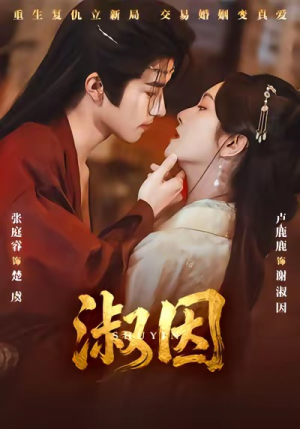 淑因（65集）短剧全集投屏大屏看