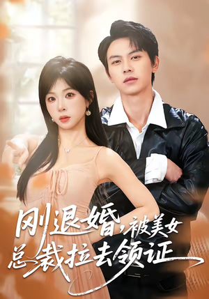 刚退婚,被美女总裁拉去领证(81集) 刚退婚,被美女总裁拉去领证(81集)短剧完整版全集放送