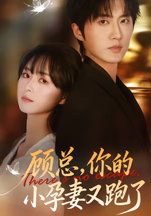 顾总,你的小孕妻又跑了(47集) 顾总,你的小孕妻又跑了(47集)短剧全系列永久免费