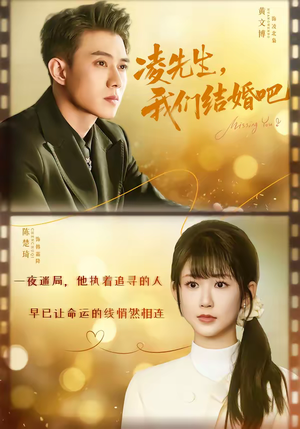 凌先生，我们结婚吧（68集）短剧终篇全集限免看