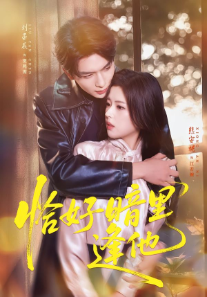 恰好暗里逢他（66集）短剧全集连看不停歇