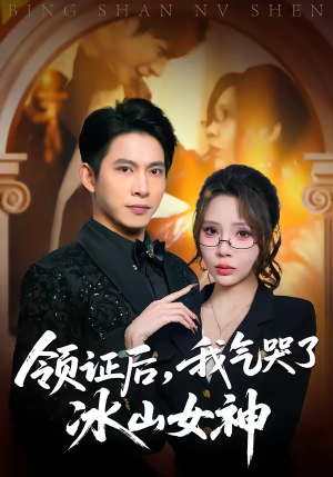 领证后,我气哭了冰山女神(60集) 领证后,我气哭了冰山女神(60集)短剧全集VR沉浸版