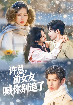 许总,前女友喊你别追了(80集) 许总,前女友喊你别追了(80集)短剧终章免费大放送
