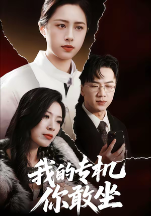 我的专机你敢坐（62集）短剧全剧终合集放送