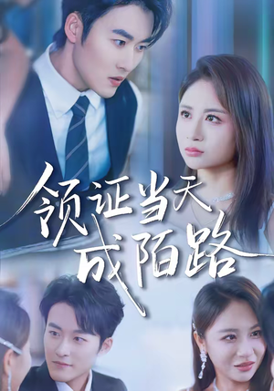 领证当天成陌路（39集）短剧最终章免费合集