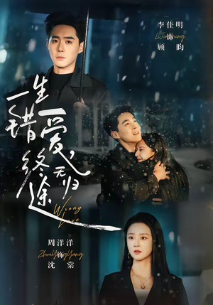 一生错爱,终无归途(74集) 一生错爱,终无归途(74集)短剧最终回限免畅看