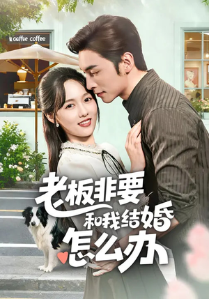 老板非要和我结婚怎么办（50集）短剧爆款全集在线播