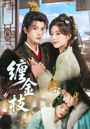 缠金枝（69集）短剧合集蓝光画质