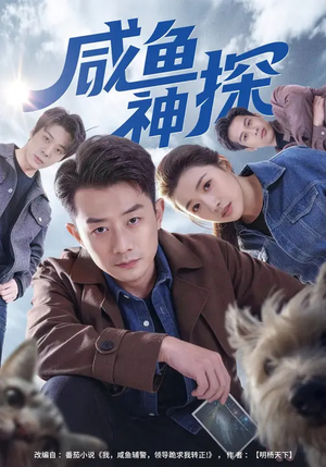 咸鱼神探（80集）短剧大结局全集特惠