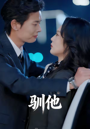 驯他（80集）短剧大结局全集特惠