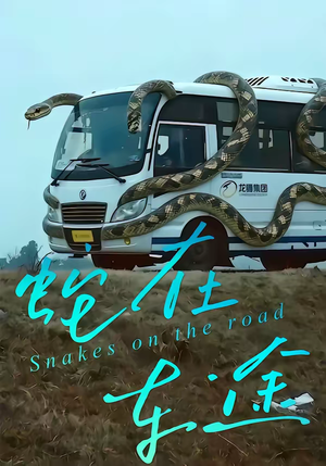 蛇在车途（34集）短剧全集连看不停歇