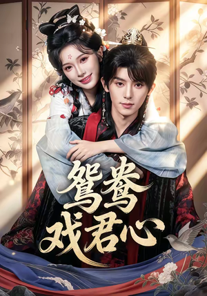 鸳鸯戏君心（60集）短剧合集导演剪辑版