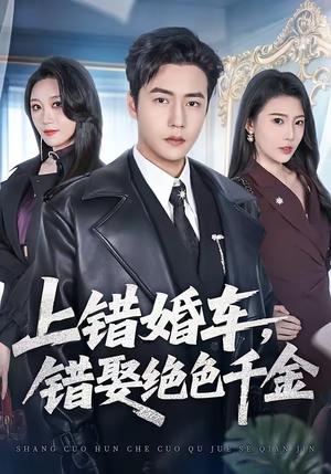 上错婚车,错娶绝色千金(80集) 上错婚车,错娶绝色千金(80集)短剧全集高清完整版