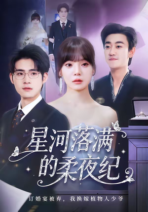 星河落满的柔夜纪（88集）短剧结局合集限免刷