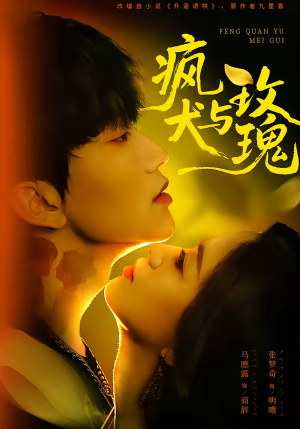 疯犬与玫瑰（80集）短剧全集秒播无卡顿