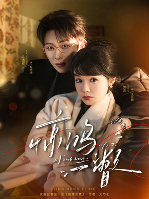 惊鸿一瞥（72集）短剧全系列免费畅享