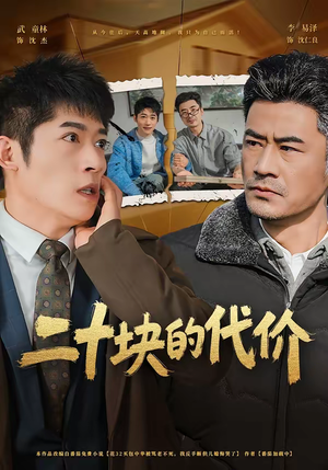 二十块的代价(64集) 二十块的代价(64集)短剧大结局限免特辑