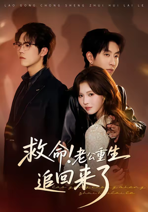 救命!老公重生追回来了(40集) 救命!老公重生追回来了(40集)短剧限免全集任你点