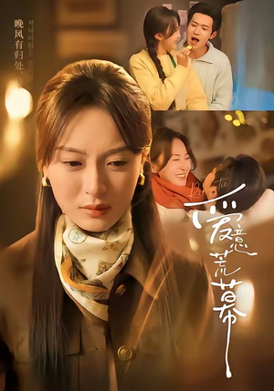 爱意荒幕（70集）短剧热映全集免费刷