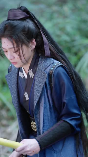 大宋孤勇者上（100集）短剧全剧终合集放送