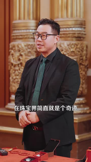 我有聚宝盆：财源滚滚（101集）短剧全系列永久免费