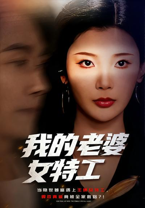 我的老婆女特工（62集）短剧全系列永久免费