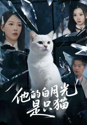 他的白月光是只猫（69集）短剧大结局限免特辑