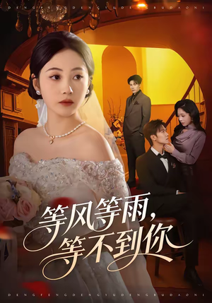 等风等雨，等不到你（65集）短剧终极大放送合集