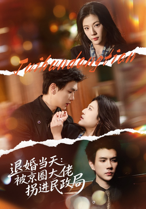 退婚当天：被京圈大佬拐进民政局（80集）短剧最终章免费合集