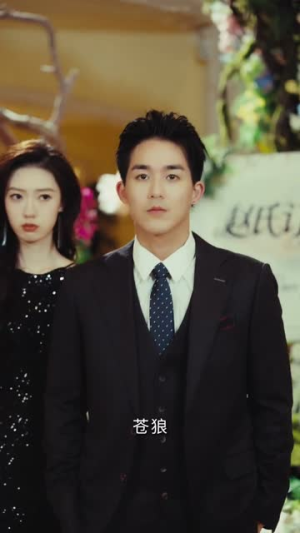 枭婿（62集）短剧合集导演剪辑版