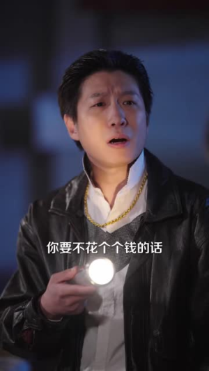 东北地下皇，你说我是窝囊废（72集）短剧全集VR沉浸版