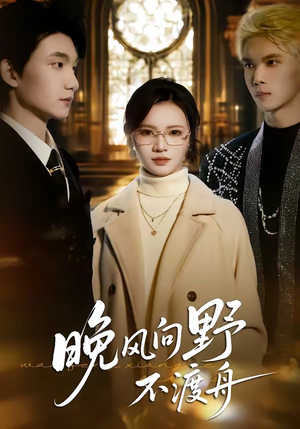 晚风向野不渡舟（60集）短剧经典全集任你选