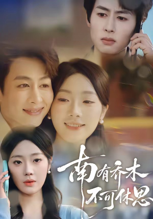 南有乔木，不可休思（68集）短剧全剧免费合集