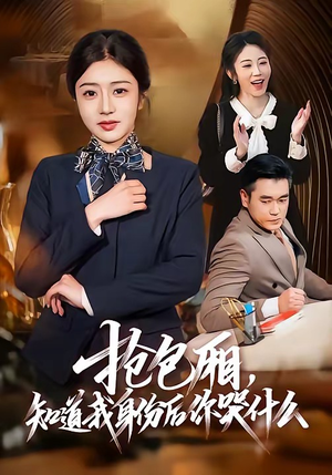 抢包厢，知道我身份后你哭什么（70集）短剧大结局全集解锁