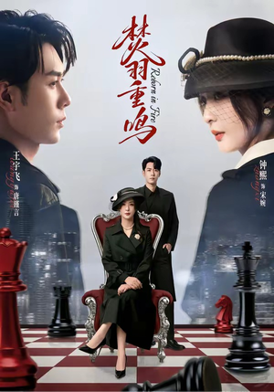 焚羽重鸣（60集）短剧超清全集在线看