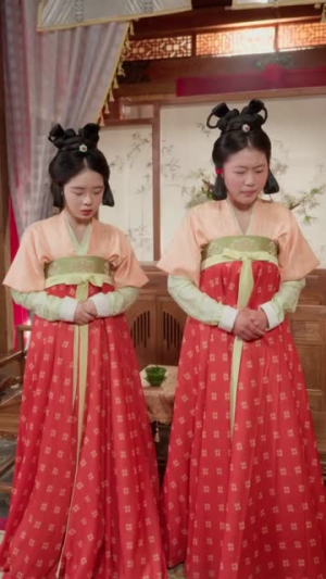 红楼一梦缚华年 （66集）短剧全系列免费畅享