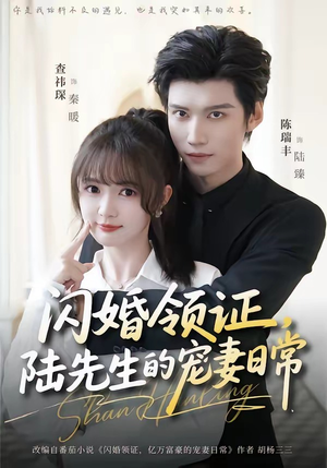 闪婚领证，陆先生的宠妻日常（86集）短剧终章免费大放送