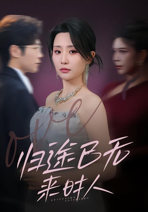 归途已无来时人（70集）短剧合集杜比音效版