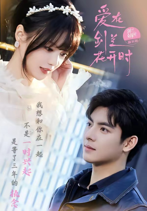 爱在剑兰花开时（56集）短剧合集通宵追更版