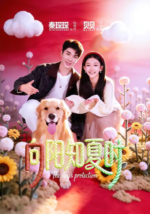 向阳知夏时（80集）短剧全剧免费合集