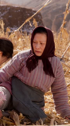 重回八零后，我把七个女儿宠上天（80集）短剧合集导演剪辑版