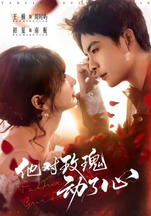 他对玫瑰动了心（68集）短剧全集秒播无卡顿