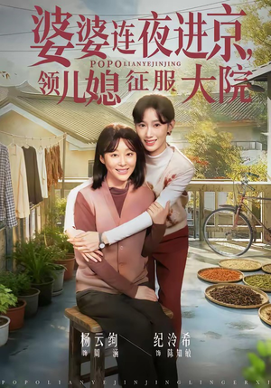 婆婆连夜进京，领儿媳征服大院（78集）短剧全系列免费畅享