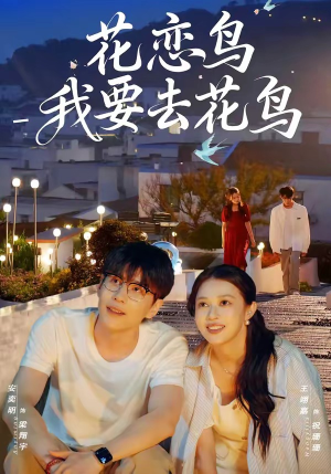 花恋鸟我要去花鸟（60集）短剧经典全集任你选