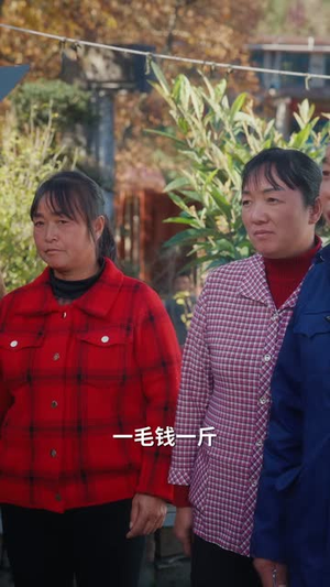 重生八零：李老太整治白眼狼（79集）短剧全集秒播无卡顿