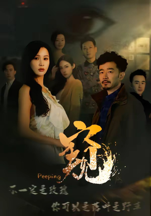 窥＆窥伺（37集）短剧限免全集任你点